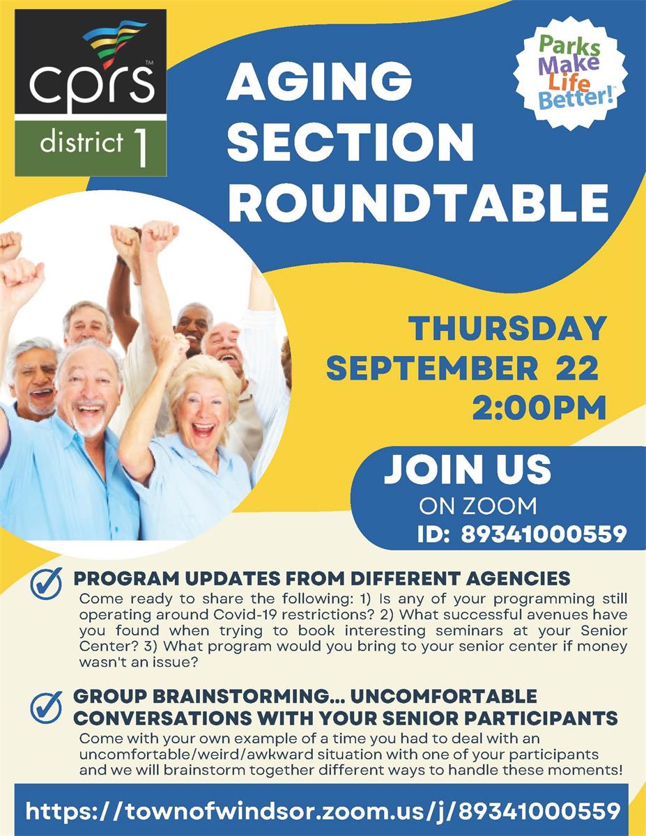 Aging Section Roundtable Flyer